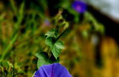 Casa De Campo Colmeal - Foto 41