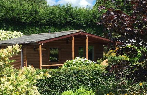 East Crinnis Log Cabin - Photo 1