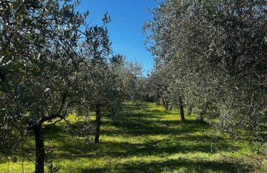 La Dimora di Sandra Montefalco, appartamento tra ulivi con parcheggio - Foto 34