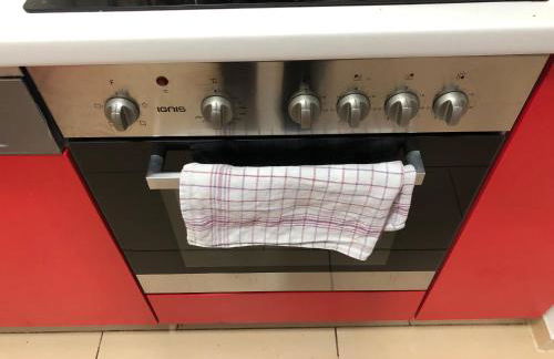 Sahara Falcon - Photo 142