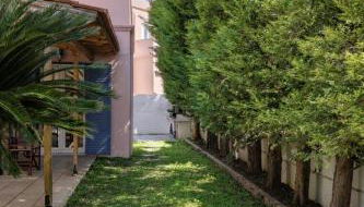 Thalassa Beach House, Marathonas-Aegina - Foto 2, Garden