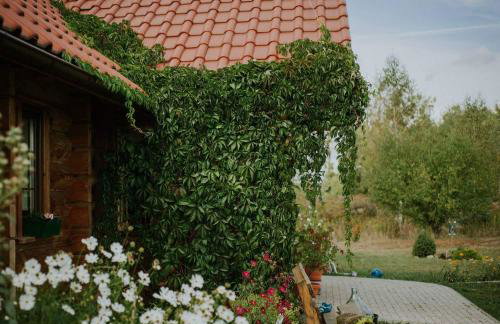 Dom Gościnny Sowia Stópka - Foto 1