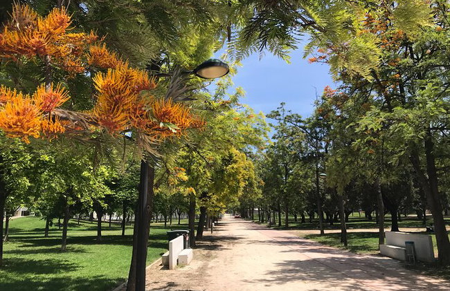 Valencia 3 Parks Private Segway-Tour. - Foto 14