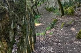 Casa Dolce Casa - Foto 35