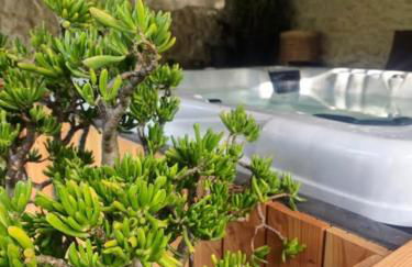 La Maison Or Azur- Spa Jacuzzi- Terrasse - Vue Nature - Foto 18