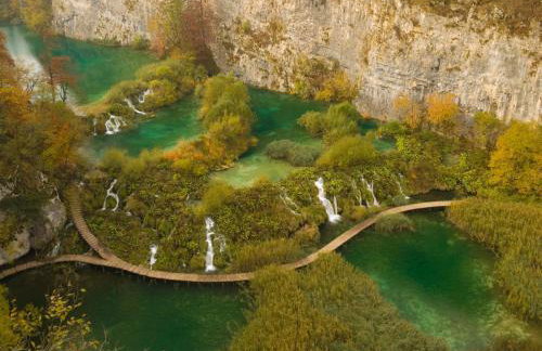 Afrodita Wellness Essence - Foto 39