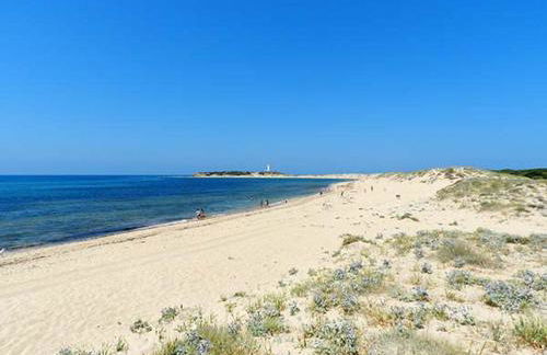 DADA CAÑOS - Foto 4