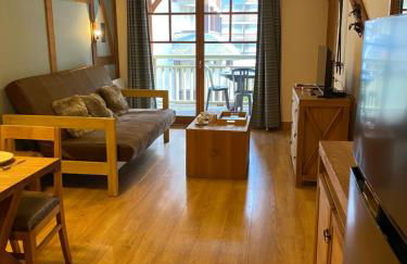 Appartement T2+coin nuit 6 pers résidence de Cami Real au centre du village de saint Lary Soulan avec piscine intérieure+ sauna et hammam - Foto 14