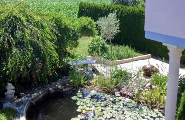 Haus Säntisblick - Foto 20