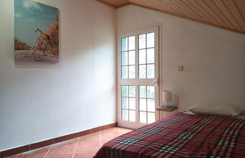 Palm Comfort - Foto 3