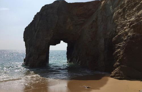 Maison du Domaine de la Pointe - Foto 37