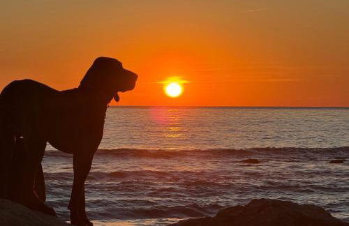 Domus Libeccio 57 - Foto 35