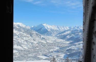 Appartement T4 esprit chalet jolie vue PRA LOUP 1600 - Foto 9