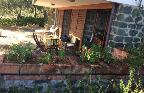 Il nido della gazza - Foto 10