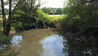 Au petit horizon - Foto 5