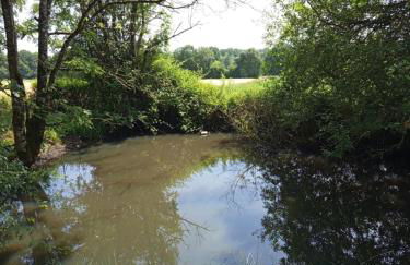 Au petit horizon - Foto 5