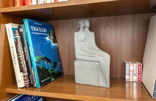 Seagulls, Elegance and Freedom - Foto 46