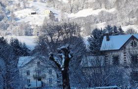 FLAMBOYANT - Foto 28