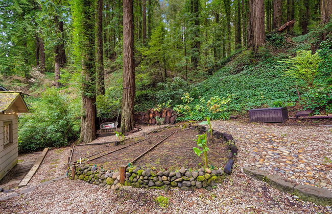 Pacific Coast Redwoods Cabin for Family - Foto 67
