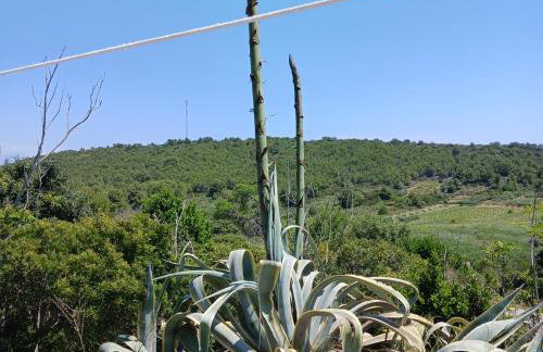 Apartments Elena & Damir - Foto 17