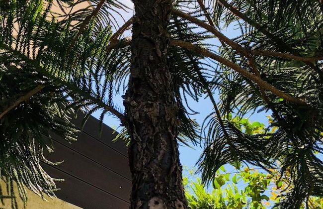 Azure House at Lagonissi - Foto 37