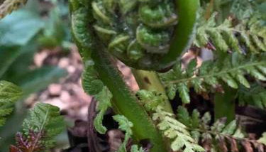 Luxury Attic Studio, heart of Uppermill, Saddleworth - Foto 4