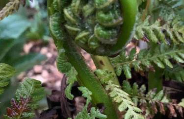 Luxury Penthouse, in the heart of Uppermill, Saddleworth - Foto 9