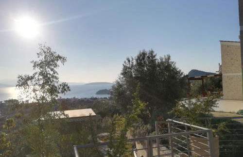 Πέτρα, Ελιά και Λεβάντα - Foto 53