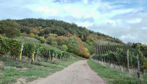 Wanderglück Rotenfels - Foto 2