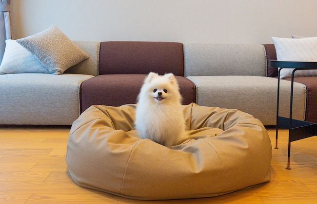 Rakuten STAY VILLA Yatsugatake - Foto 62