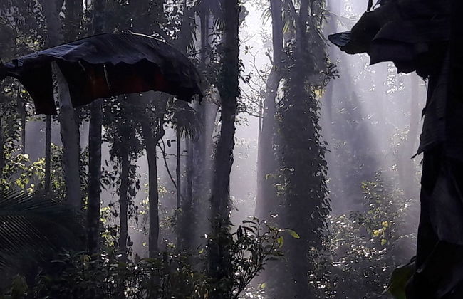 Enjoy The Real "wayanad Village Home Stay" Experience - Foto 23