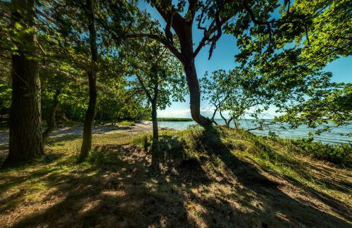 traumHaff Küstenchalets - einzigartige Chalets an der Ostsee. Ganz aus Lärchenholz mit Kamin und Sauna - Foto 55
