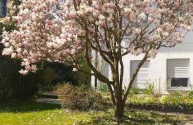 Carlchens Casa - Photo 22