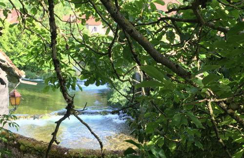Grands Gîtes de charme avec jardin, lieu calme et paisible en plein coeur d'Arbois, linge inclu, lits faits à l'arrivée et ménage en fin de séjour - Foto 8