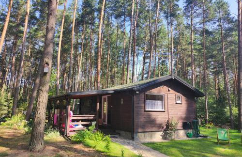 Domek pod sosnami - Foto 1