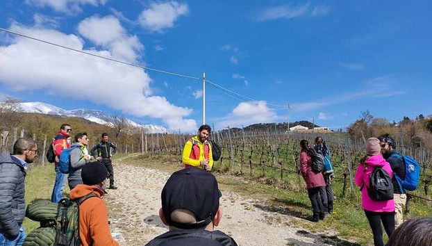 Spiazzi Winery Wine Tasting - Photo 4