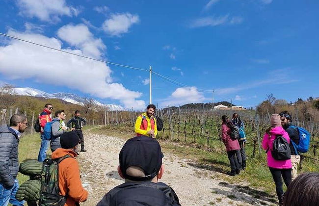 Degustazione di vino in una cantina di Spiazzi - Foto 4