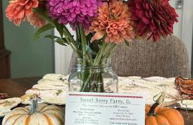 HCH Bluebonnet Cottage - Foto 12