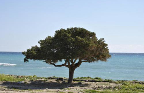 Chouzourakis Studios - Foto 31