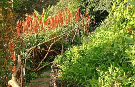 Apartamento Charmoso no Funchal, com grande Jardim e Vista Esplêndida - Foto 21