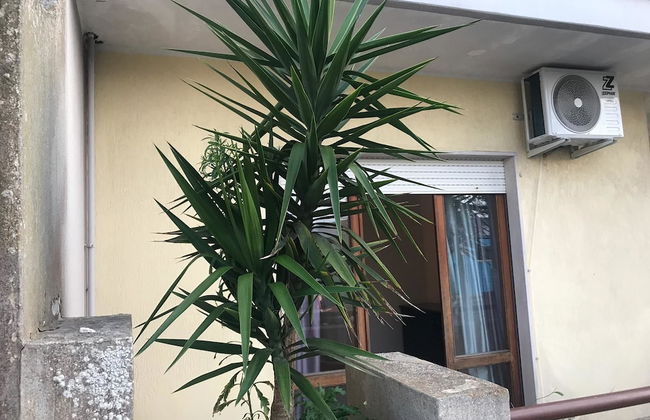 Il Girasole - Foto 16