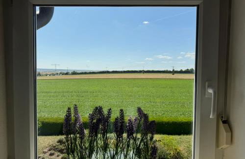 Ferienwohnung Hainichblick - Foto 19