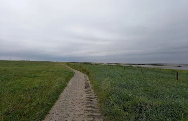 Holiday Bungalow in Dornumersiel - Foto 24