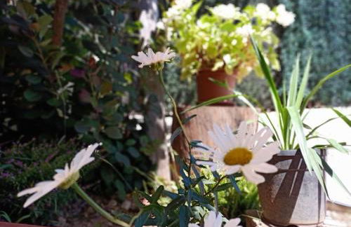 VILLA FALCONERA APARTAMENTS, GANDIA a las faldas de la montaña RELAX & PETS - Foto 45