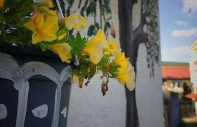 Eftychia’s home-Σπίτι με θέα τη λίμνη Πλαστήρα - Photo 27