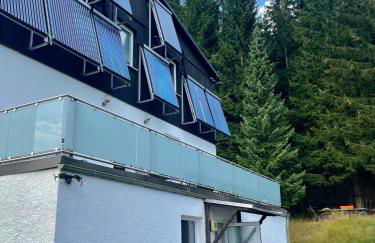 Ferienapartments Erzpanorama - Foto 2