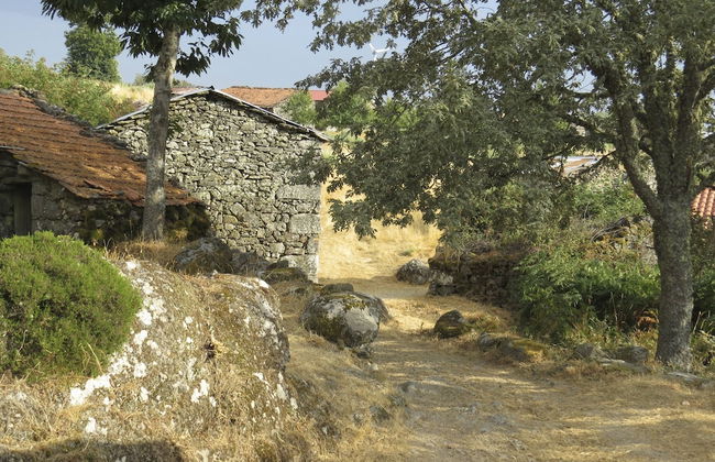 Comfortable Rural Cottage in Ancient Village in the Douro Region - Foto 37