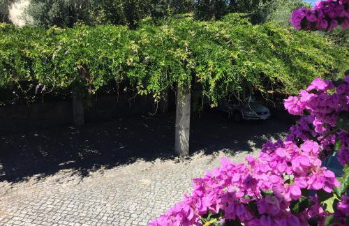 A Casa da Celeste - Foto 23