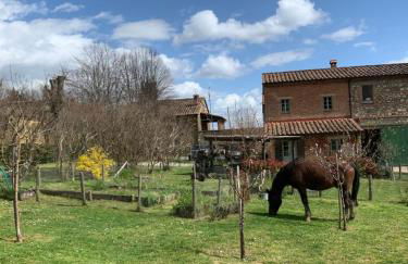 Borgo Montefreddo Toscana - Foto 8