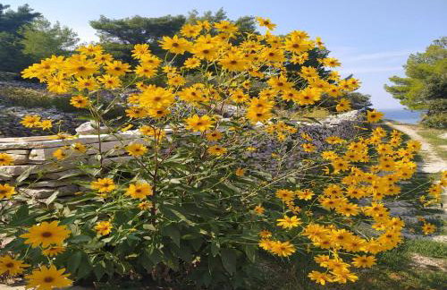 Holiday Home Luna - Two Bedroom Holiday Home With Sea View - Photo 14